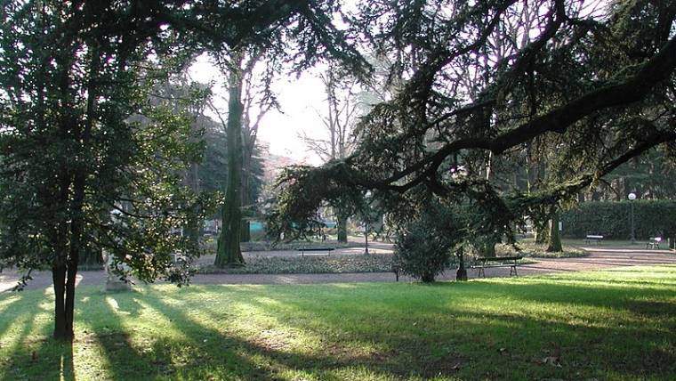 Pulizia giardini